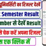 BA 1st Semester Result 2024